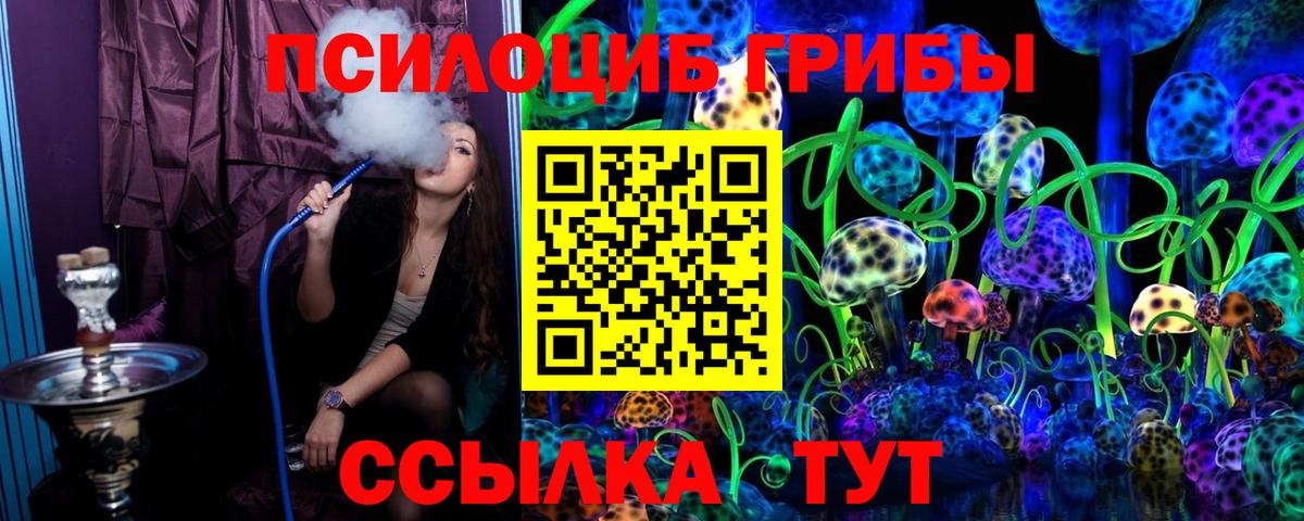 Екатеринбург  Псилоцибиновые грибы MAGIC MUSHROOMS  магазин  наркотиков  Вход с VPN 